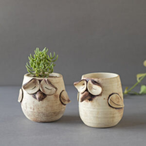 Ceramic Plant Pots