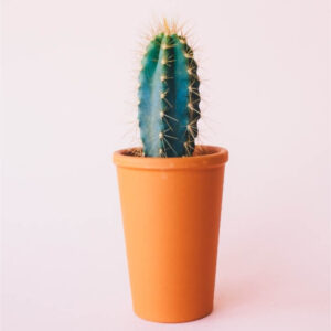 Ceramic Garden Pots